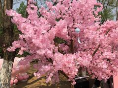 -长白岛森林公园