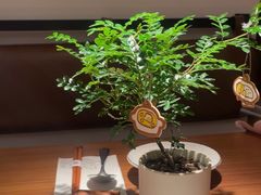-CURRY YA 熟成咖哩專門店(深圳湾万象城店)