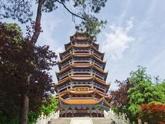 -铁山坪森林公园