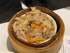 -食为先(Shark Fin)
