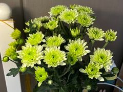 -爱尚幸福鲜花(上地实体店)