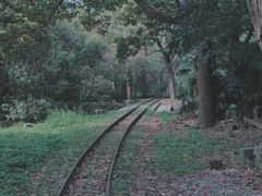 -共青国家森林公园-售票处