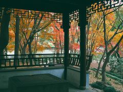 -秋霞圃