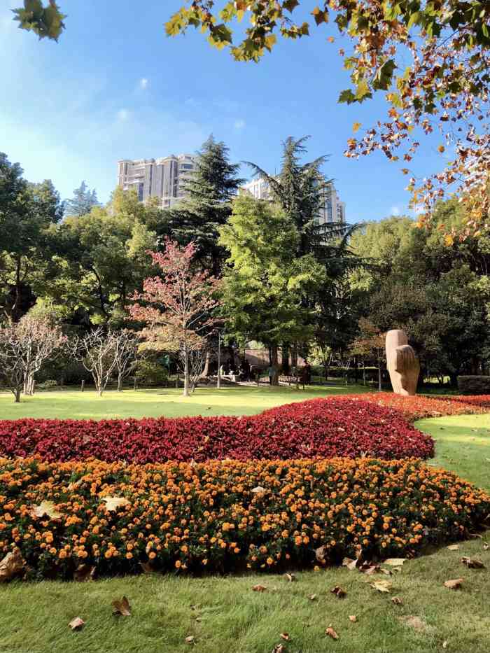 华山绿地-"平时很少来交大这边,没想到还有一块市区绿.