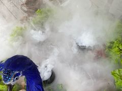 -品德宏·孔雀宴的发源地(金塔园店)