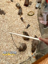 -欢乐舟·舟舟玩乐园