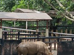 -深圳野生动物园