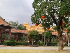 -顺峰山公园
