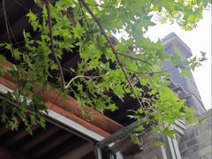 -VOYAGE COFFEE(杨梅竹店)