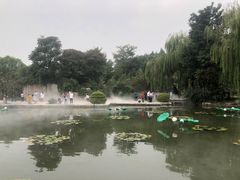 -河北省园博园