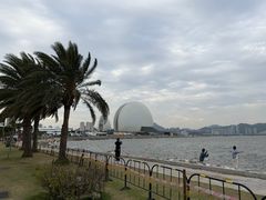 -野狸岛