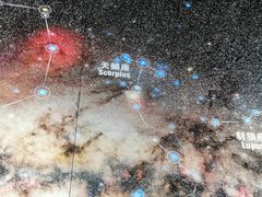 -贝林大翅鲸简餐厅(国家海洋博物馆店)