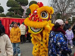 -武汉紫薇都市田园