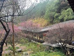 -庐山风景名胜区-东林大佛
