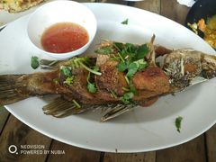 -Doo Dee Thai Food(Issan/Isaan/Esan)