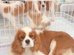 -七彩云南第壹城