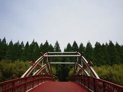 -黄海国家森林公园