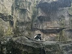 -南昌动物园