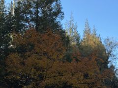 -森林公园(尖草坪区)