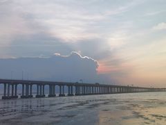 -宝安西湾红树林湿地公园