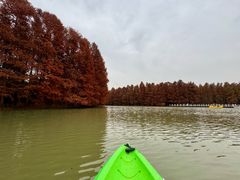 -上海海湾国家森林公园