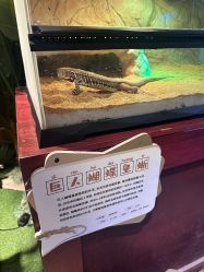 -酷嗒动物文化乐园(cutezoo西溪乐天城店)