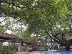 -喜洲吧·江畔老船厂·庭院餐厅(喜临院店)
