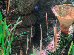 -沈阳海洋探索中心