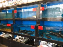 菜单-华盛丰温州大排档(东三环南路店)