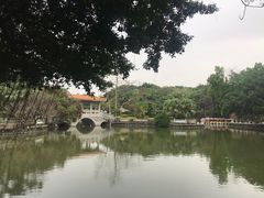 -星海公园(番禺区)