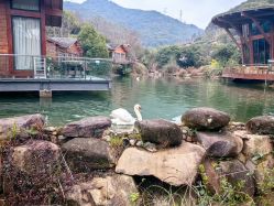 点击看大图 -尚圣月子会所·庄园式月子中心(萧山湘湖店)