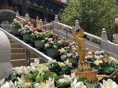 -宝莲禅寺