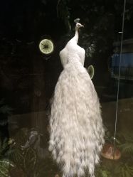 -兰超汇形体健康管理中心