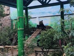 -灵玲国际马戏城