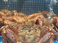 -东海怡品海鲜豆捞(星街坊店)