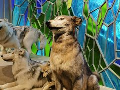 -上海博物馆(人民广场馆)