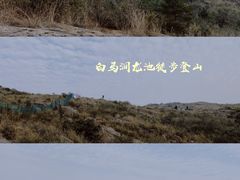 -白马涧龙池景区