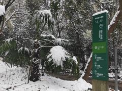 -紫金山山顶公园