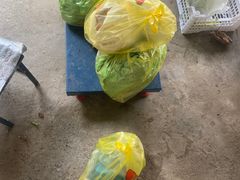 -马陆小张葡萄园农家乐