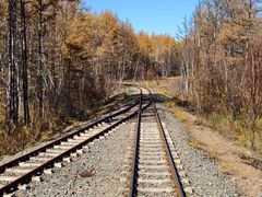 -莫尔道嘎国家森林公园