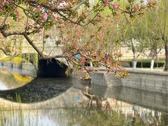 -海棠花溪(元大都城垣遗址公园)