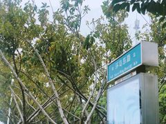 -黄金海岸环岛路