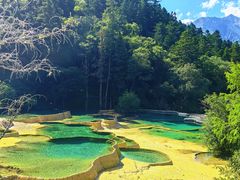 -黄龙山原始森林景区