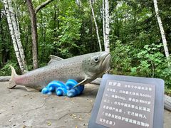 -茅兰沟国家森林公园