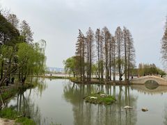 -蠡湖中央公园