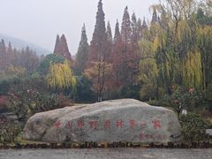 -习家池