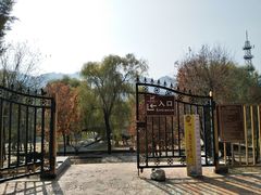 -百里山水画廊-恐龙游乐园