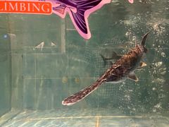 -漓江又一軒·广西菜·桂林米粉(梅林店)