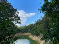 -广州市流溪河国家森林公园