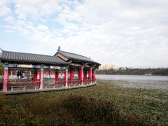 -洛龙公园